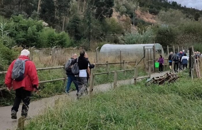 IMG20221103092254