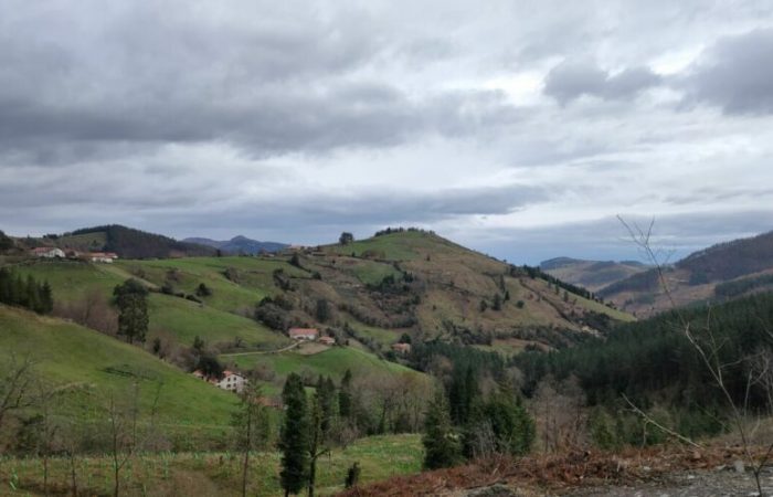 IMG20221229090836