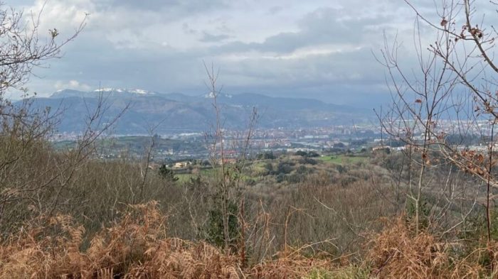 WhatsApp Image 2023-01-26 at 14.11.29 (2)