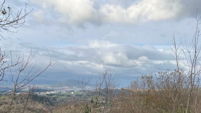 WhatsApp Image 2023-01-26 at 14.11.29