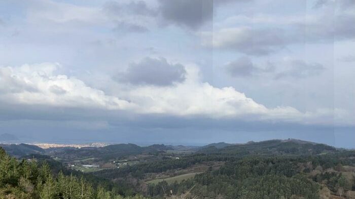 WhatsApp Image 2023-01-26 at 14.11.30