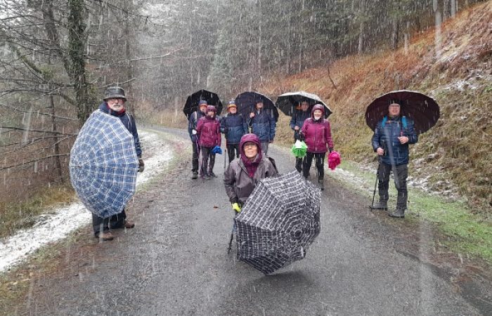 WhatsApp Image 2023-02-23 at 13.55.59